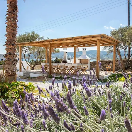 Be By Willow Properties Villa